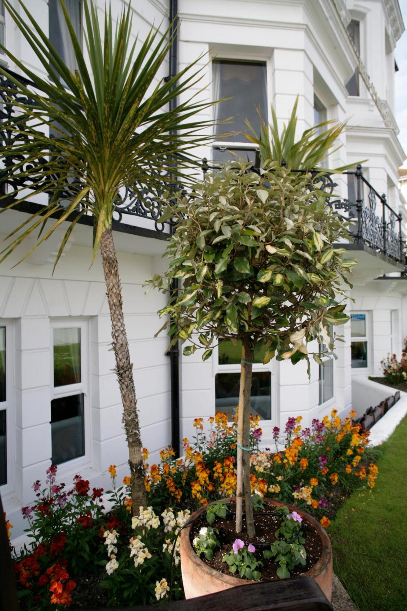Devonshire Park Hotel Eastbourne Dış mekan fotoğraf